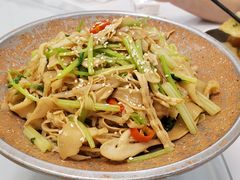 -新名仕新白玉兰餐厅