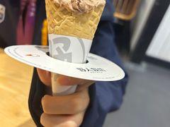 -野人先生现做冰淇淋(北京顺义祥云小镇店)