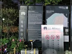 -莲花山公园