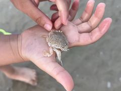 -北海银滩一号国际会议中心酒店
