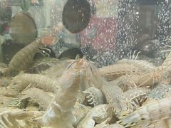 -渔码头食府(蓬莱阁店)