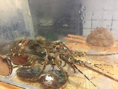 龙虾刺身-悦和餐厅(CBD玉米楼店)