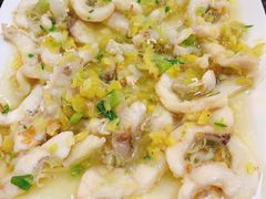 姜汁蒸鱼腩-顺源客宴·中山脆肉鲩(滨江路店)