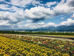 -富田农场