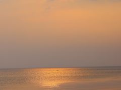 -鲁毓鲜蓬莱小面(黄山路店)