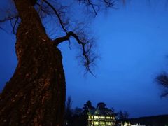 -承德避暑山庄景区