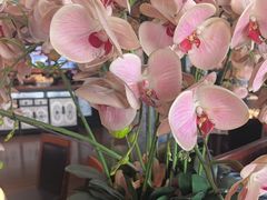 -八府香鸭·啫啫煲(华山路店)