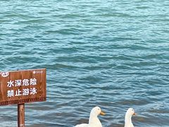 -南海子公园