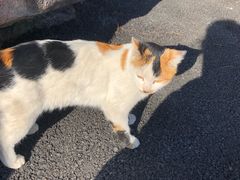 -东天目山风景区