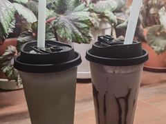 -吉丁鸟咖·异宠·寄养