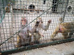 -南京金牛湖风景区