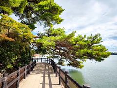 -松岛