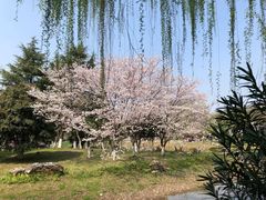 -堤角公园