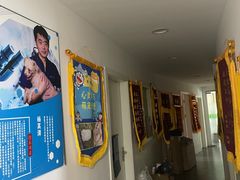 -爱侣宠医·鹦鹉专科·小型哺乳类·异宠专科(灵石路店)