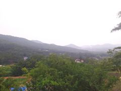 -金石滩蓝莓谷庄园