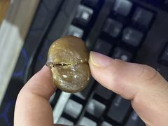 -杨记板栗(天虹总店)