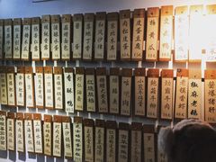 -洪齐林老镇