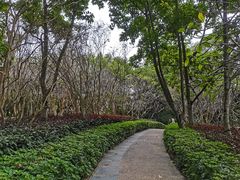 -燕晗山郊野公园