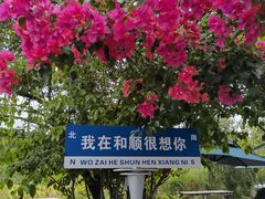 -和顺古镇