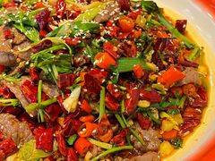 -川正旺江湖菜(三元桥店)