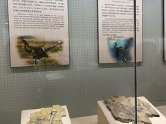 -辽宁古生物博物馆