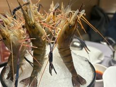 -红鼎豆捞·非遗鲍皇汤火锅(宝丰路店)