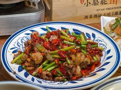 -福苗小骆驼烧烤(莲湖路店)