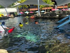 -新加坡水上探险乐园