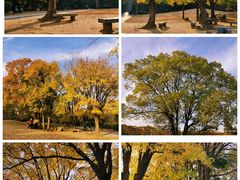 -南阳卧龙岗武侯祠