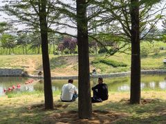 -羊亭河湿地公园