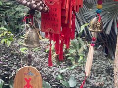 -呀诺达热带雨林