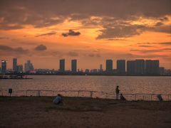 -瑶湖郊野森林公园