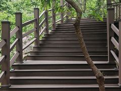 -沂蒙山旅游区云蒙景区(蒙山国家森林公园)