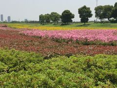 -苏州湾体育公园