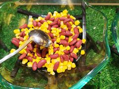 -乌兰湖畔草坪轻奢营地