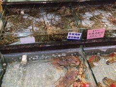 -新海利海鲜城·41年珠海老字号(夏湾店)