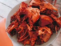 -大鹅岛绿色生态美食园