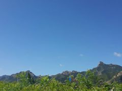 android_upload_pic-塞罕坝国家级自然保护区