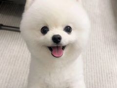 -俏贝拉(裕后街店)