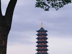 -葛仙湖公园