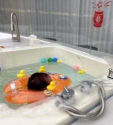 -佳宝全套房精品月子会所(大华店)