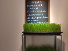 -朵朵开素食餐厅(后宰门街店)