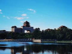 -莲花池公园