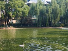 -西安市长乐公园