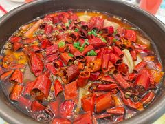 -孔雀云贵川·融合菜(长宁来福士店)