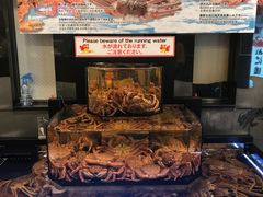 -蟹道乐(道顿堀本店)