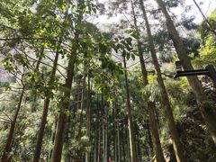 -雁荡山风景名胜区