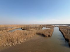 -盐城丹顶鹤湿地生态旅游区