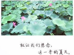 -彼芝奇比萨(红坊店)