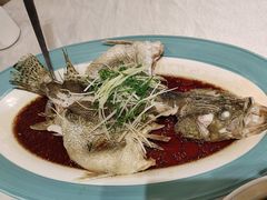 -峨嵋酒家(牡丹园店)